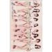  Toshocard Girls' Generation Orrico noricon Toshocard 500 LS999-0022