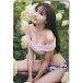 ..... Young Magazine QUO card 500 S0126-0035