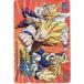  QUO card Dragon Ball модифицировано акционер гостеприимство QUO card 500 SJ111-0225