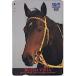  Buena Vista QUO card 500 UCH03-0227