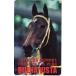 テレカ テレホンカード ブエナビスタ 2010 JRA AWARDS HORSE OF THE YEAR カードショップトレジャー