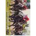  telephone card navy blue Trail Japan Dubey horse racing book QUO card 500 UZB01-0100