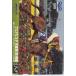  telephone card Buena Vista heaven ..( autumn ) horse racing book QUO card 500 UZB01-0102