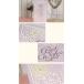���b�Z�[�W�J�[�h ������ �v�`�M�t�g �T���N�X�J�[�h best wishes ��̓�