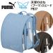 �����h�Z�� 2027�N���f�� �j�̎q �v�[�} PUMA �V�g�̂͂� �Z�C�o�� �X�s�[�h PB27 �l�C A4�t���b�g�t�@�C���Ή� �J�W���A�� �p�C�i�b�v�� ����