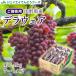  подарок на Bon Festival виноград подарок tela одежда примерно 1.4kg (7~14.) Yamagata префектура производство превосходящий товар ..... покупка gr01