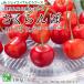  вишня 2025. предметы домашнего обихода вид случайный M и больше 0 превосходящий товар 180g×6 Yamagata префектура производство пищевая упаковка 