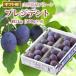  подарок чернослив [ President ] примерно 2kg (500g×4 ) превосходящий товар редкий товар вид Yamagata префектура производство сырой еда 