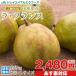 a... фрукты подарок Yamagata префектура производство la* Франция примерно 2kgla Франция запад нет груша обыкновенная ( часть регион доставка отдельно ) rf18