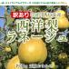  есть перевод бесплатная доставка Yamagata префектура производство запад груша lane-ju примерно 3kg( шар число случайный )* Kyushu * Okinawa * часть исключая отдаленные острова 