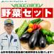 [ Yamagata market carefuly selected ] incidental vegetable set 