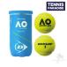 DUNLOP Dunlop tennis ball Australia n open / Australian Open official ball (2 piece insertion ) (DAOYL2DOZAO)