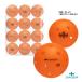  dia temDIADEM pick ru мяч официальный pick ru мяч Индия a для 12 штук OFFICIAL PICKLEBALL INDOOR BALL 12PK TPB007