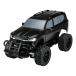  - pi сеть (Happinet) 1/20 R/C Toyota Land Cruiser GR SPORT ( объект возраст 6 лет ~)
