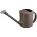  Ricci .ru Mini лейка N Brown 703321