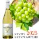  вино автомобиль moli автомобиль in мускат 100 новый sake вино 2025 Yamanashi префектура производство автомобиль in мускат 100% белый вино 750mln-vo-11 месяц 3 день ( месяц ) продажа @ *
