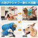 �� �h���C���[ ���p �y�b�g�p  �y�b�g ���� �g���}�[ �y�b�g�p�i �� ���� �����P�[�X ������ �֘A�摜2