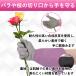 �K�[�f�j���O�O���[�u ���|�p��� �o�� �K�N �K�[�f���O���[�u �K�[�f�j���O��� �h�� �g�Q �g�Q�h�~ �ԕ� �֘A�摜3