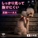 �n�[�l�X ���� �� ���� ���p�n�[�l�X �� ���n�[�l�X �����۔����Ȃ� �ȒP���� ���E�ȒP ���^�� ���^�� ��^�� �����_�[�t�B�b�g