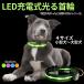 [ new product ] dog necklace shines led light rechargeable stylish lovely pet accessories nighttime safe walk small size dog medium sized dog large dog free shipping TERUI Lights official 