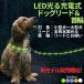  собака Lead ошейник светится led свет заряжающийся комплект модный симпатичный товары для домашних животных вечер безопасный прогулка маленький размер собака средний собака бесплатная доставка TERUI Lights официальный 