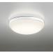 �݌ɕi OW269013LR �I�[�f���b�N LED������[�����F][FCL30W����][�d���F][�h�J�E�h���^][�������F][�A�N��������][�ǖʁE�V��E�X�Ζʎ�t���p]