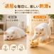 �L �������� �d�� ���� ���� �˂��� 3�C�Z�b�g ��l�V�� �L����炵 �L�p�������� ����� �^���s�� �X�g���X���� �m��ߋ� ���� �n���X�^�[ �y�b�g�������� �֘A�摜1