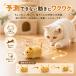 �L �������� �d�� ���� ���� �˂��� 3�C�Z�b�g ��l�V�� �L����炵 �L�p�������� ����� �^���s�� �X�g���X���� �m��ߋ� ���� �n���X�^�[ �y�b�g�������� �֘A�摜2