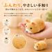 �L �������� �d�� ���� ���� �˂��� 3�C�Z�b�g ��l�V�� �L����炵 �L�p�������� ����� �^���s�� �X�g���X���� �m��ߋ� ���� �n���X�^�[ �y�b�g�������� �֘A�摜3