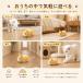 �L �������� �d�� ���� ���� �˂��� 3�C�Z�b�g ��l�V�� �L����炵 �L�p�������� ����� �^���s�� �X�g���X���� �m��ߋ� ���� �n���X�^�[ �y�b�g�������� �֘A�摜5