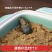 �S�� �S�ʎq �S���⋋ �S �X�v�[�� ���{�� �S�ȏ��� �S���s�� �n���\�h �񉿓S �w���S ���ъ� �₩�� �ʂ��� �S �S�̋� �����S�� ���[���� �������� ���� �֘A�摜5