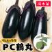 [.... рассада ] длина nas рассада PC журавль круг . корень контактный дерево рассада 9cm pot 