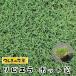 te... рассада pot газонная трава рассада ba Mu da стакан riviera pot газонная трава 