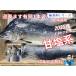  соль. ( Hokkaido производство )1,2 kilo . соль соль . соль форель . соль порез . обработка бесплатный без добавок серии 1 шт. .