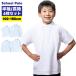�|���V���c �L�b�Y �X�N�[���|���V���c ���� ���� 4���Z�b�g �� ���n ���̎q ���� ���w�� �ʊw �q�� �j�����p ���� �c�t�� ���w�Z�p�|���V���c �z������