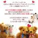 ���[�v��/�V���K�[�y�A�E�g���b�g�z�̏d�x�A�b�E�F�C�g�x�A�b���{��9�F�b�X�^���_�[�h ���v�V���b������ ���e���� ���l �o�Y�j�� �a���� �֘A�摜2
