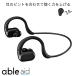 ABLE ADE сборник звук контейнер беспроводной e Eve ru помощь able ade freecle заряжающийся сделано в Японии Bluetooth.. обработка информации препятствие APD [ACC]