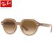쥤Х RB4399F 616651 53 󥰥饹 Ray-Ban  GINA ǡ ѥեå եեå ٿ