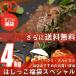訳あり はしっこ お肉 福袋 送料無料 6種 4kg 人気シリーズ 牛ハラミ・牛カルビ・豚ロース・ハンバーグ などなど