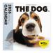 THE DOG 2026 год календарь большой размер размер ( Beagle )