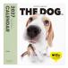 THE DOG 2027 год календарь большой размер размер ( Beagle )