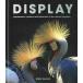 DISPLAY