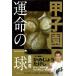  Koshien . жизнь. один лампочка 