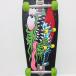 SANTA CRUZ солнечный ta круиз Complete панель Keith * ножны [ Thrasher ] дизайн переиздание * промо Dell скейтборд *WS2961