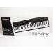 Roland GO:PIANO GO-61P キーボード♪G3134