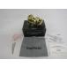 SHIMANO Shimano 15. KAIKON море душа 3000T Bait обе ось катушка рыболовная снасть *SP13450