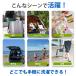 ����� �h�� �E�H�b�V���o�b�O �܂肽���� �g�ѐ���@ ���s�p �A�E�g�h�A �h�� �R���p�N�g ��􂢐��� ��e�� �y�� �L�����v �ЊQ ���p ���� �֘A�摜3
