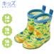 * ваш заказ *tinosaurus Kids влагостойкая обувь сапоги low модель 14cm 15cm 16cm. распределение соответствует 