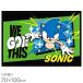11 месяц сверху . поступление предположительно покрывало на колени покрывало Sonic сияющий Sonic . распределение соответствует 034154