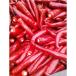 freezing China production red chili pepper (.) four river small rice ......500g cooking for frozen food .., nikomi etc. ultra . chili pepper ultra . popular freezing only shipping 